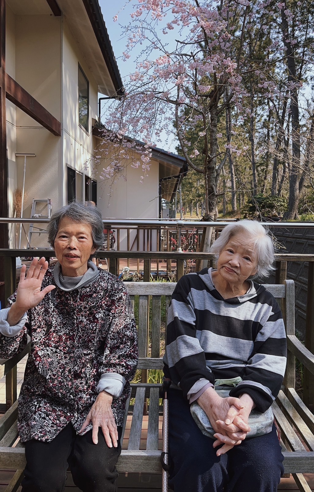 あかねお花見会（その４）