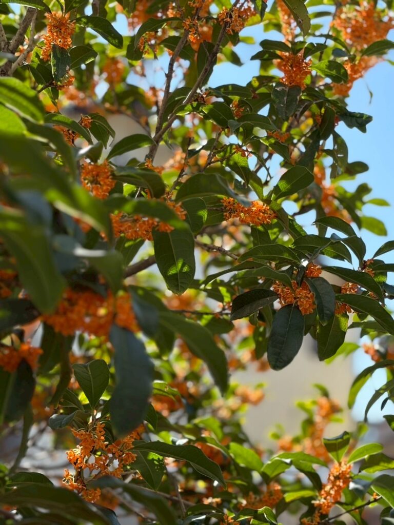 普段の日常をお届け♪