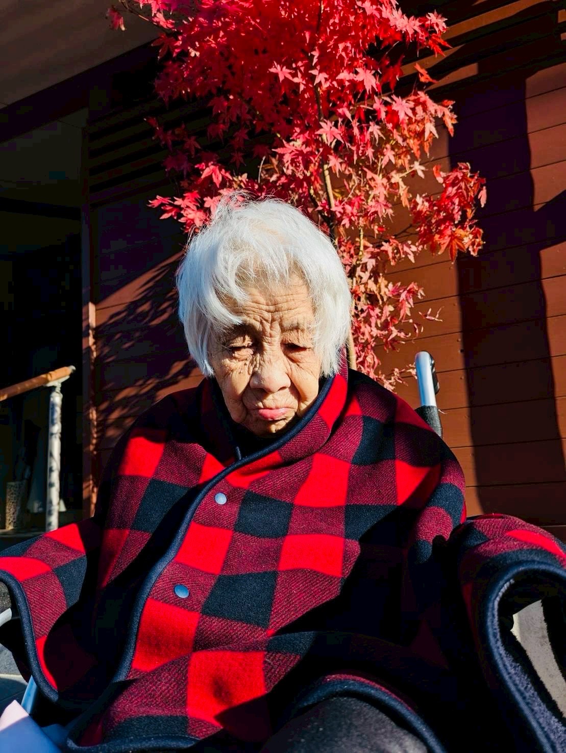 もみじもそろそろ・・・