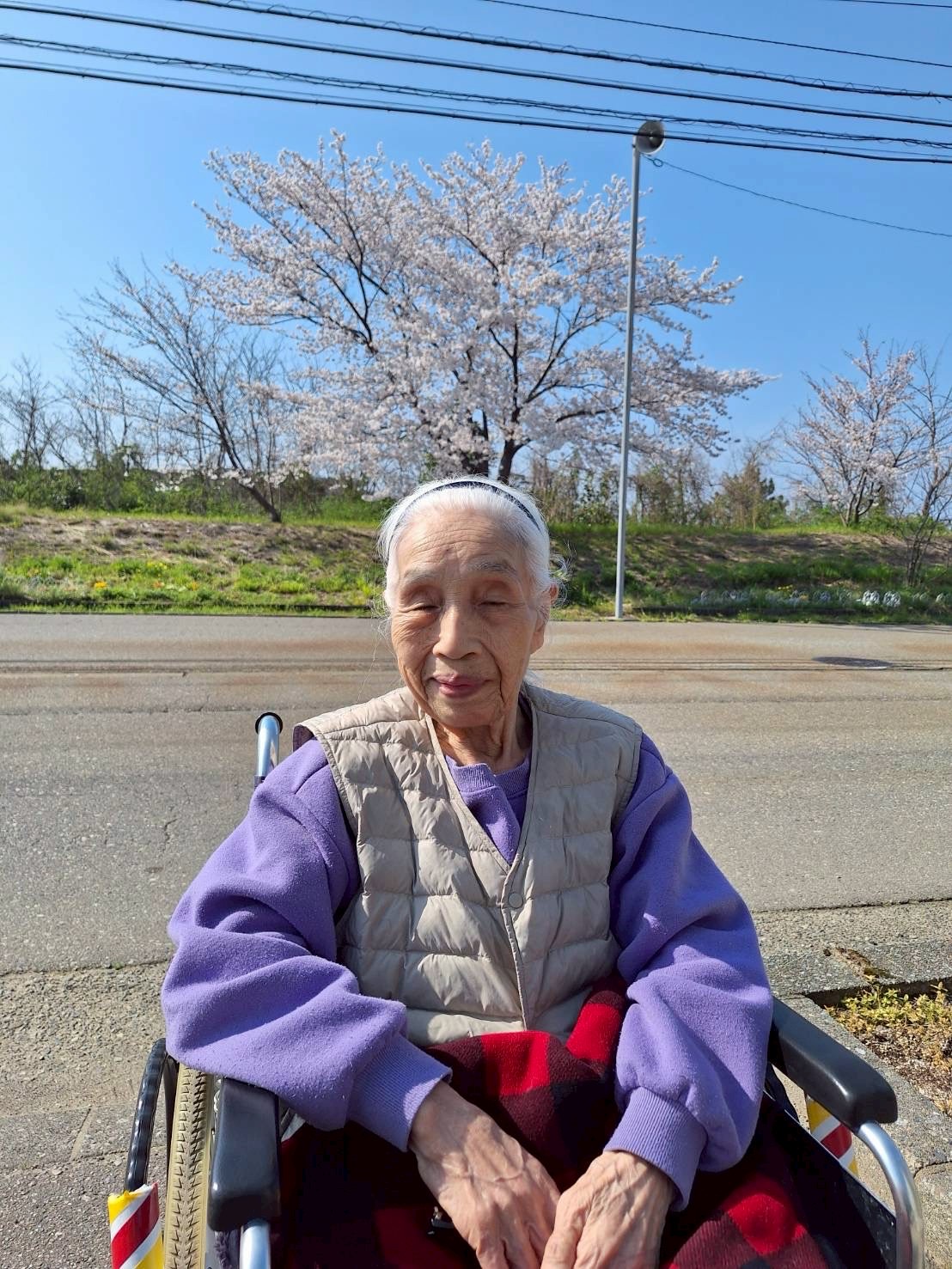 桜の季節ですね♪
